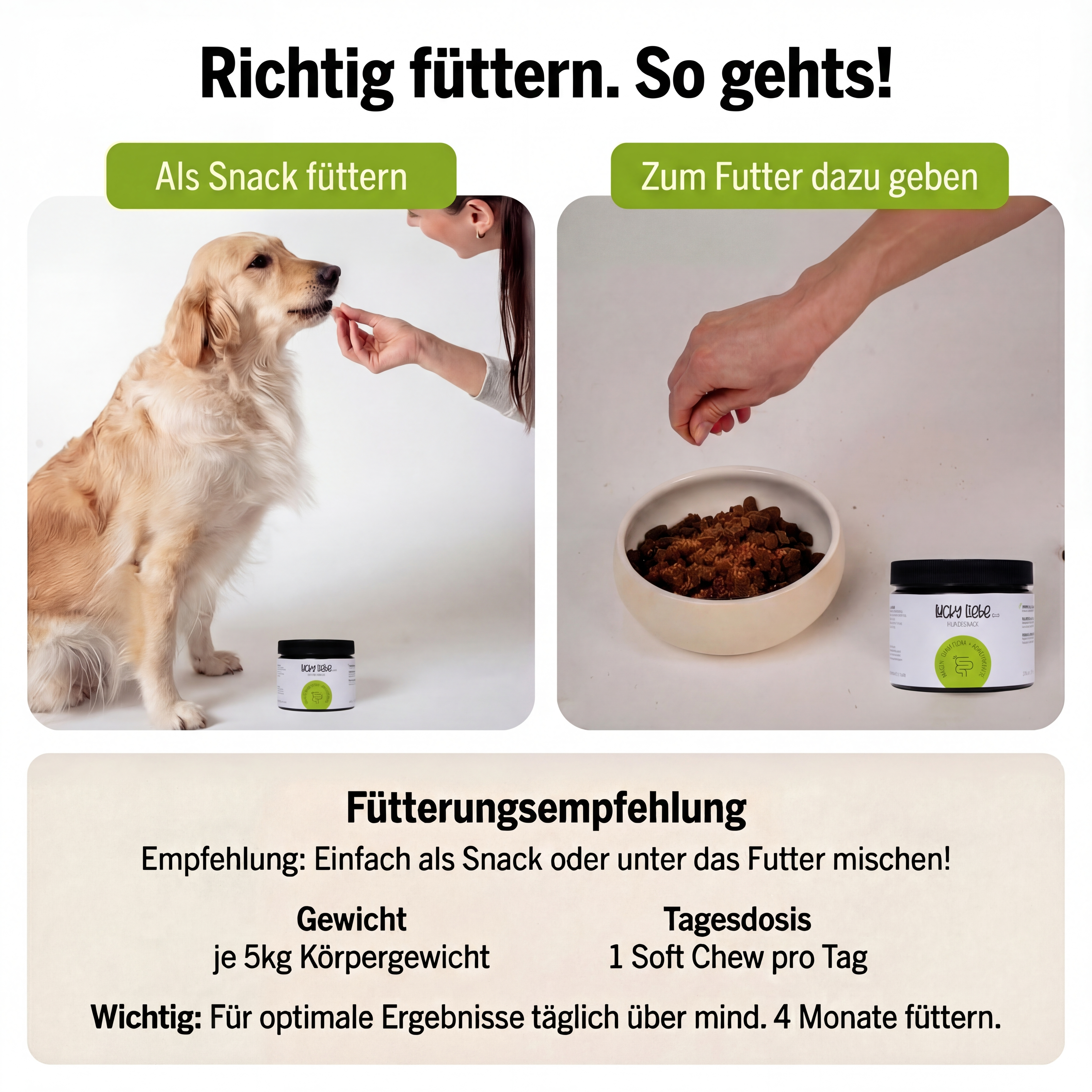 Magen-Darm Flora+ Abwehrkräfte
