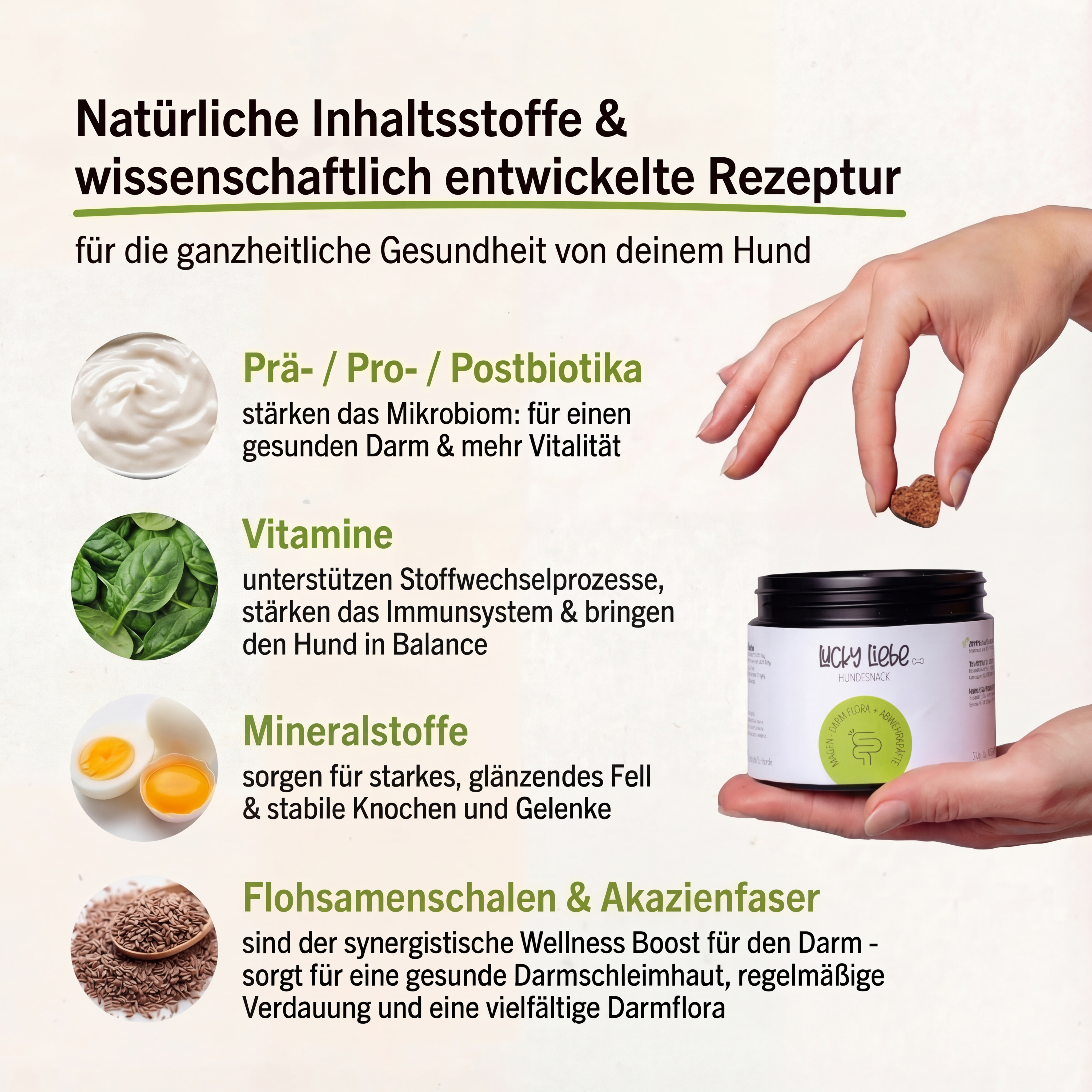 Magen-Darm Flora+ Abwehrkräfte