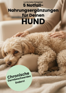 E-Book: 5 SOS – Nahrungsergänzungen für Hunde